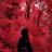 www.srihasrc.dev favicon